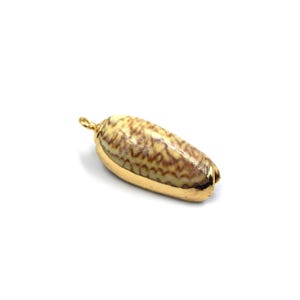 Gold Electroplated Natural Olive Shell Pendant W/ Loop & Ring - Chosen at Random!