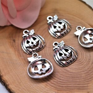 Pumpkins Charms 1816 mm image 8