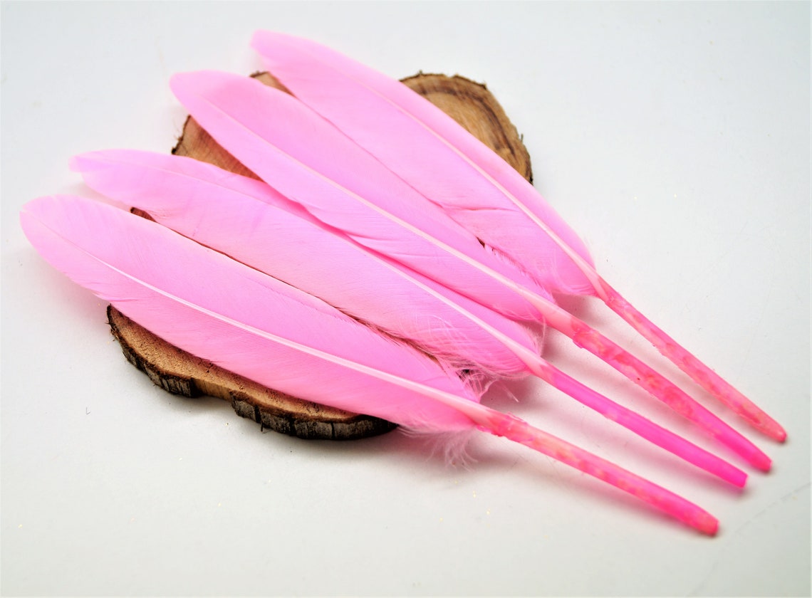 Natural duck feathers 46 set of 10 Etsy