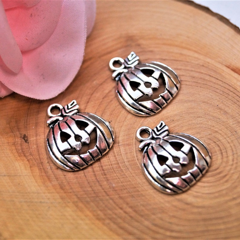 Pumpkins Charms 1816 mm image 7