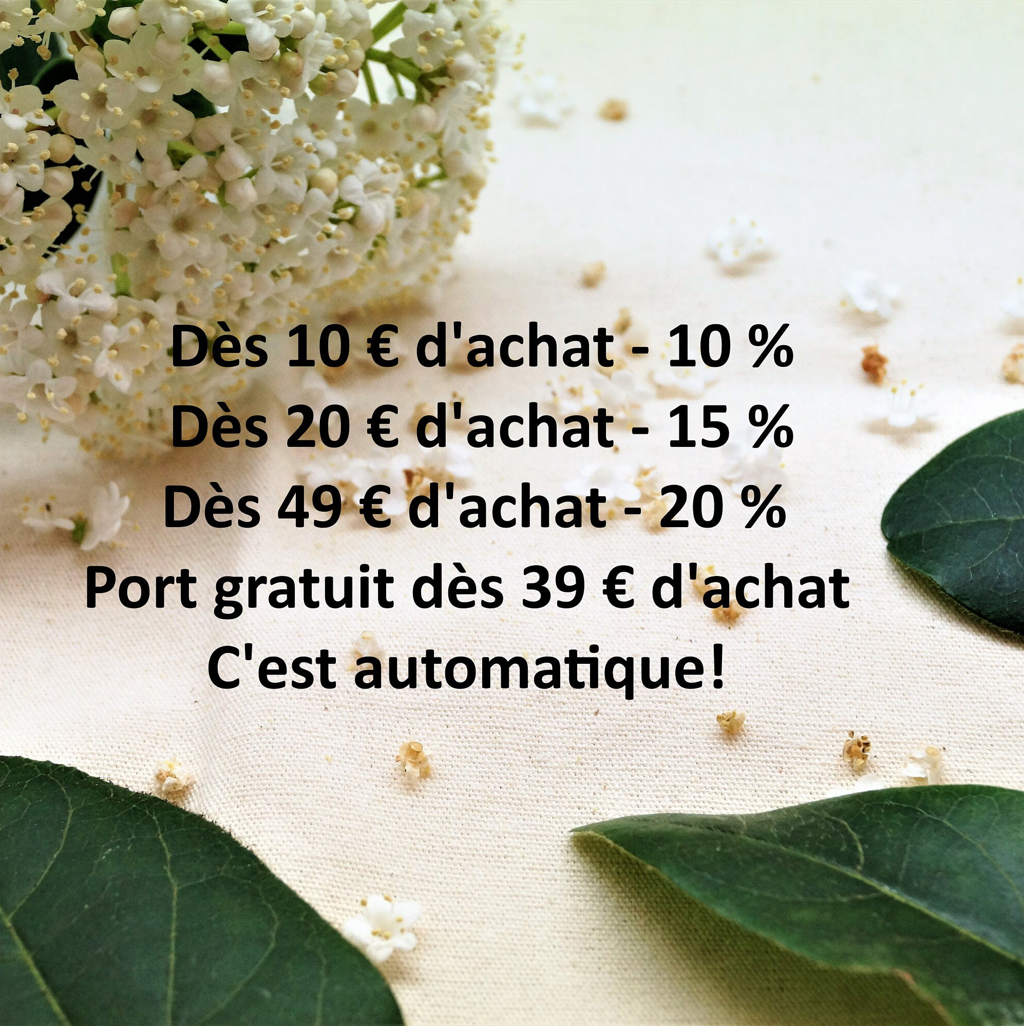 Zuasdvnk Étamines Artificielles En Perles Pour Fleurs DIY - Lot De Feuilles De Poussière - Double Tête - Création Bouquets, Cartes Mariage