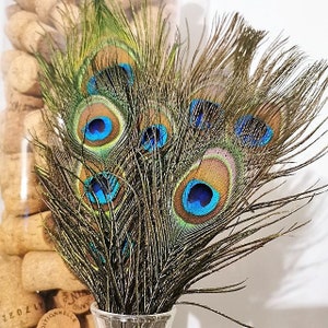 Peacock feathers natural 20-30 cm zdjęcie 10