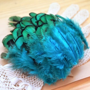 Peacok feathers set of 10, 3-5 cm