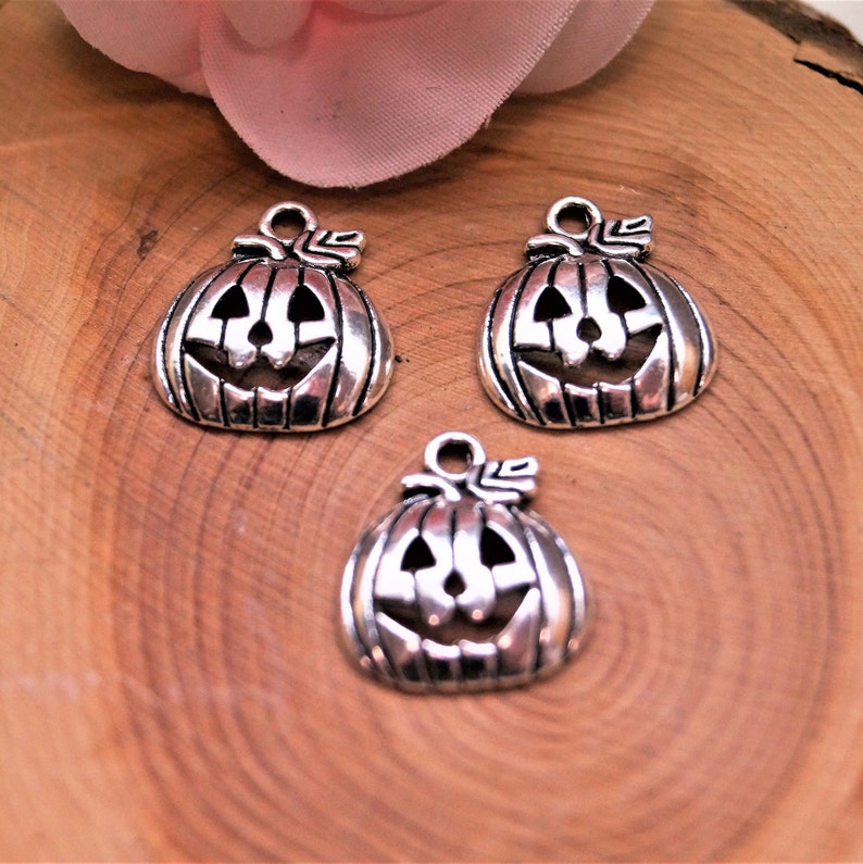 Pumpkins Charms 1816 mm image 3