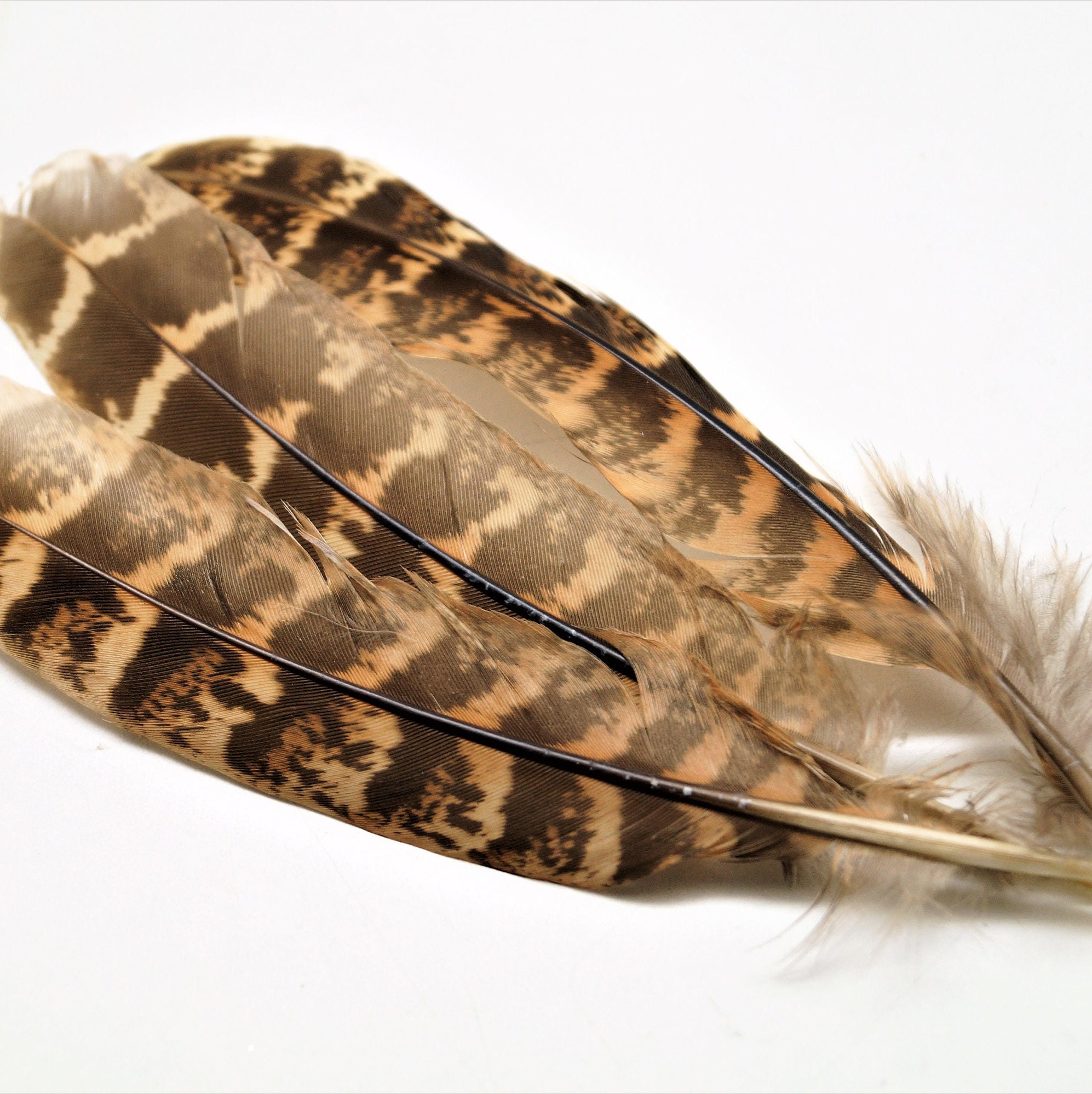 Feathers Gold and Silver 10-15 Cm, Set of 10 