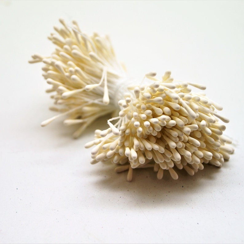 Étamines pour fleurs artificielles avec épaisseur de 1,5 mm Beige