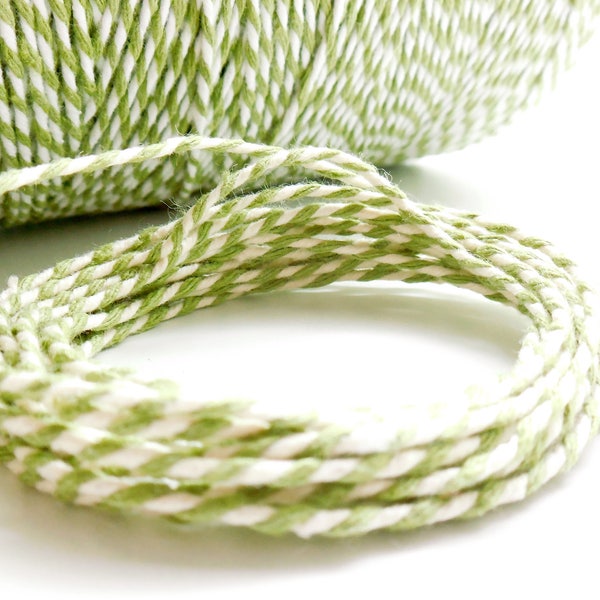 Coupon de 10 mètres de ficelle "Baker twine", vert pâle et blanc, 2 mm