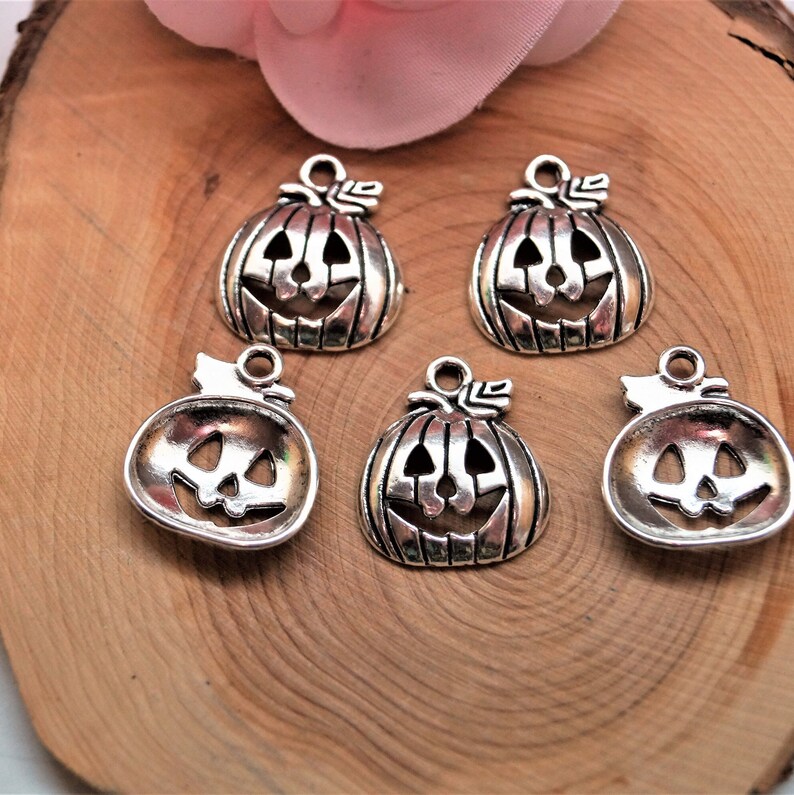 Pumpkins Charms 1816 mm image 5