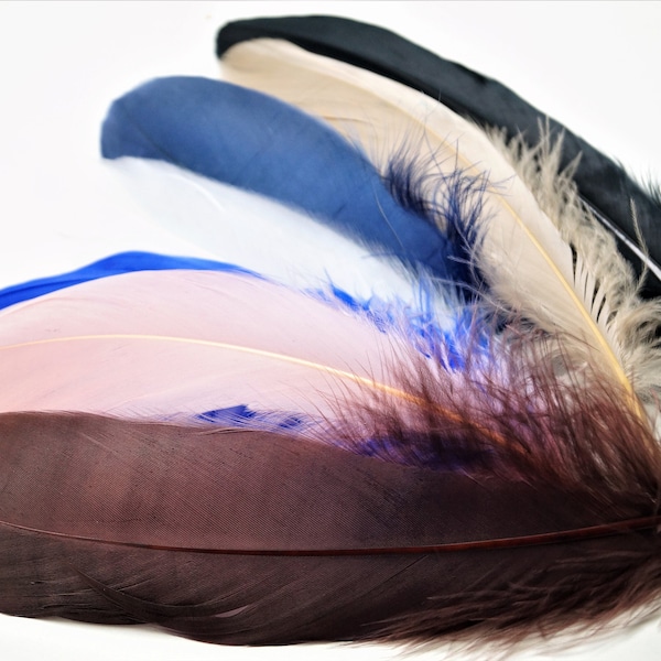 Natural goose feathers 5-7 inches, set of 10