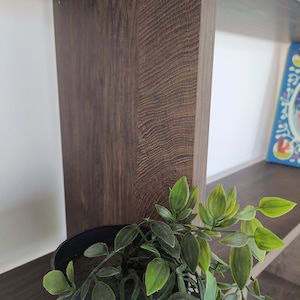 Pu&ograve; includere: Un'unit&agrave; a scaffale in legno marrone scuro con una pianta verde in vaso sullo scaffale inferiore.