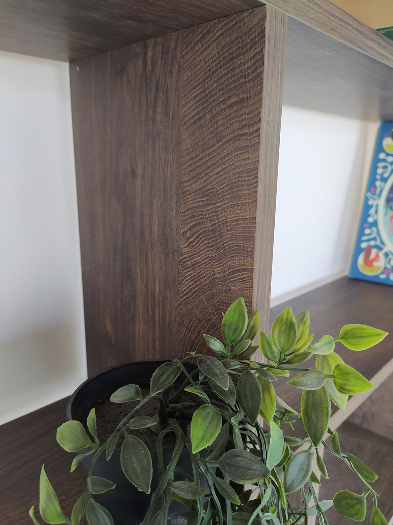 Pu&ograve; includere: Un'unit&agrave; a scaffale in legno marrone scuro con una pianta verde in vaso sullo scaffale inferiore.