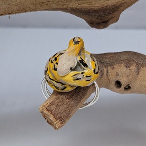 May include: A yellow and black snake ring made of polymer clay. The snake is curled up and has a white underbelly. The ring is made of silver wire.