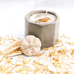 Concrete Mini Candles
