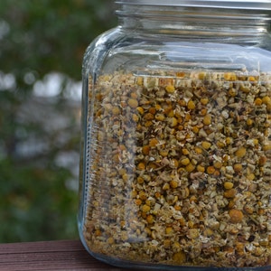 Chamomile Flowers - Organic - By the Ounce - Matricaria recutita