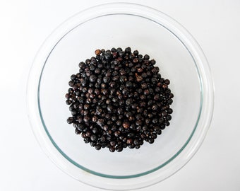 Juniper Berry - Juniper Berries - By the Ounce - Organic - Juniperus communis