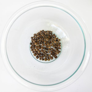 Allspice Whole - Organic - Pimenta dioica