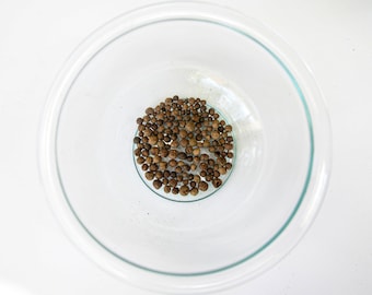 Allspice Whole - Organic - Pimenta dioica