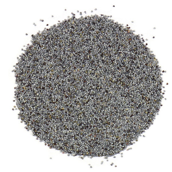 Poppy Seeds - By the Ounce - Organic - Papaver somniferum