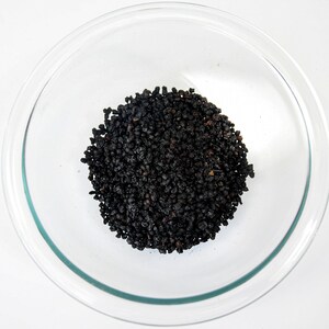 Elderberry - Elder Berry - Elderberries - Organic - By the Ounce - Sambucus nigra