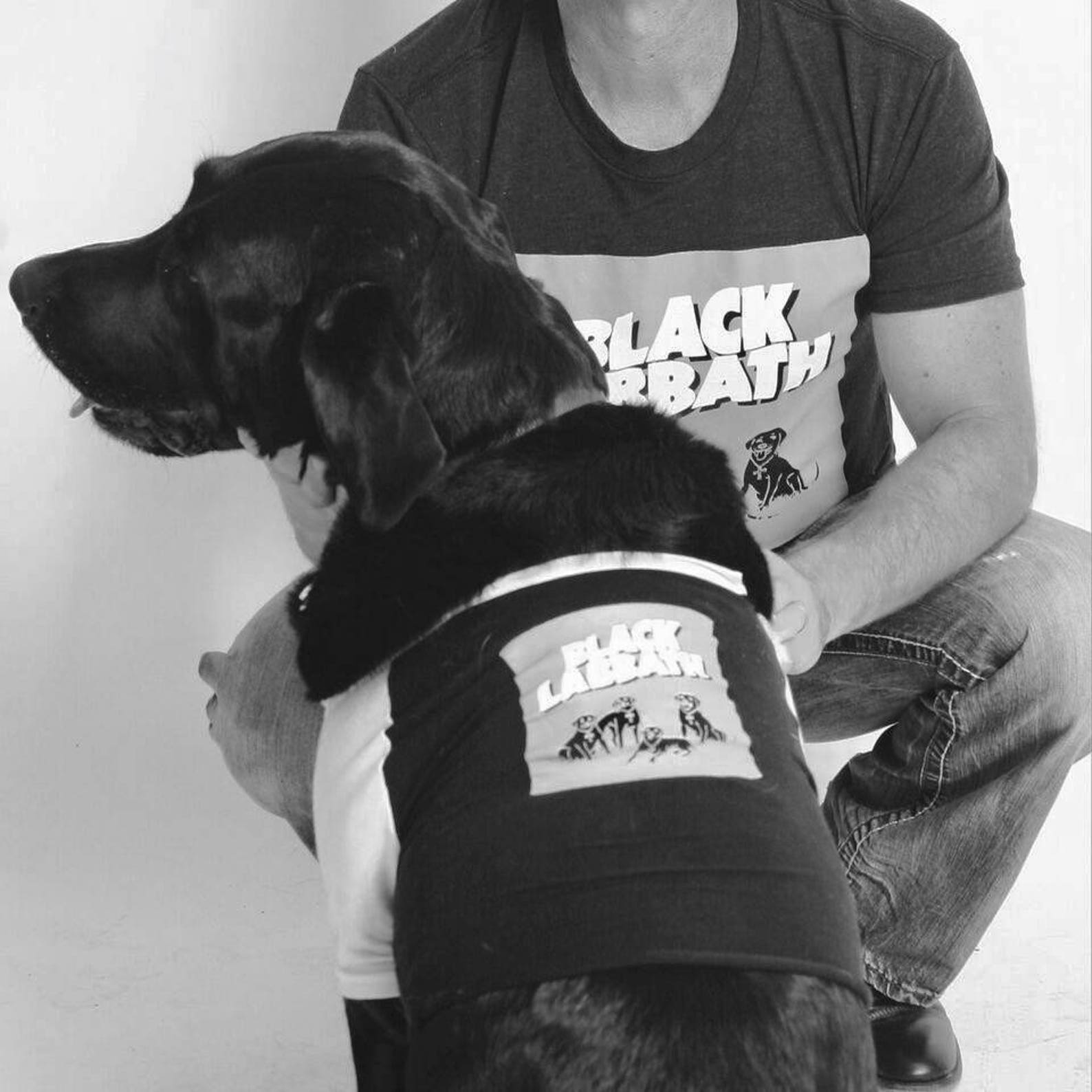 Rock Band Dog T ShirtRock Music Shirts for Dogs and Music Etsy