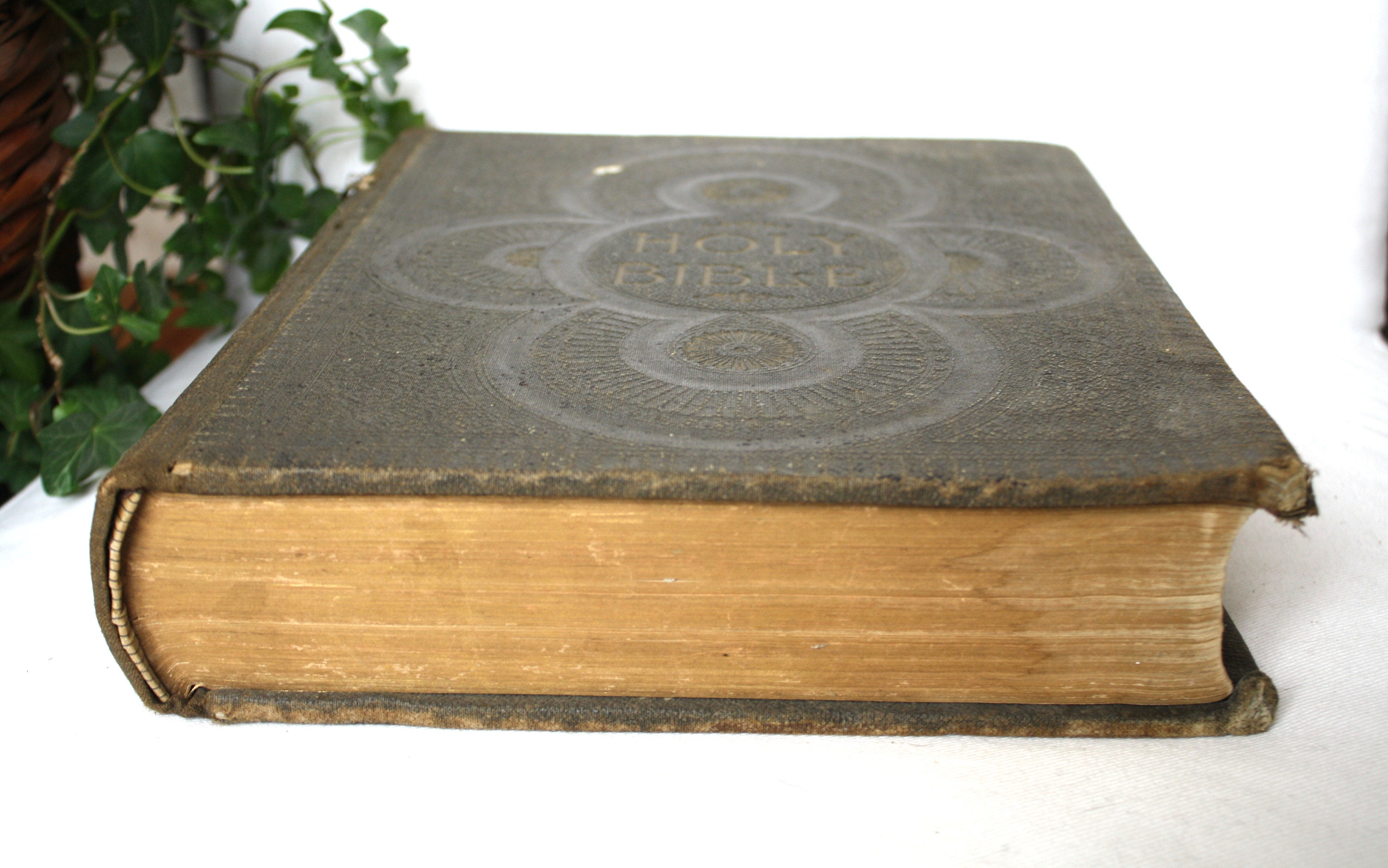pictorial family bible 1892 pictorial family bible 1892