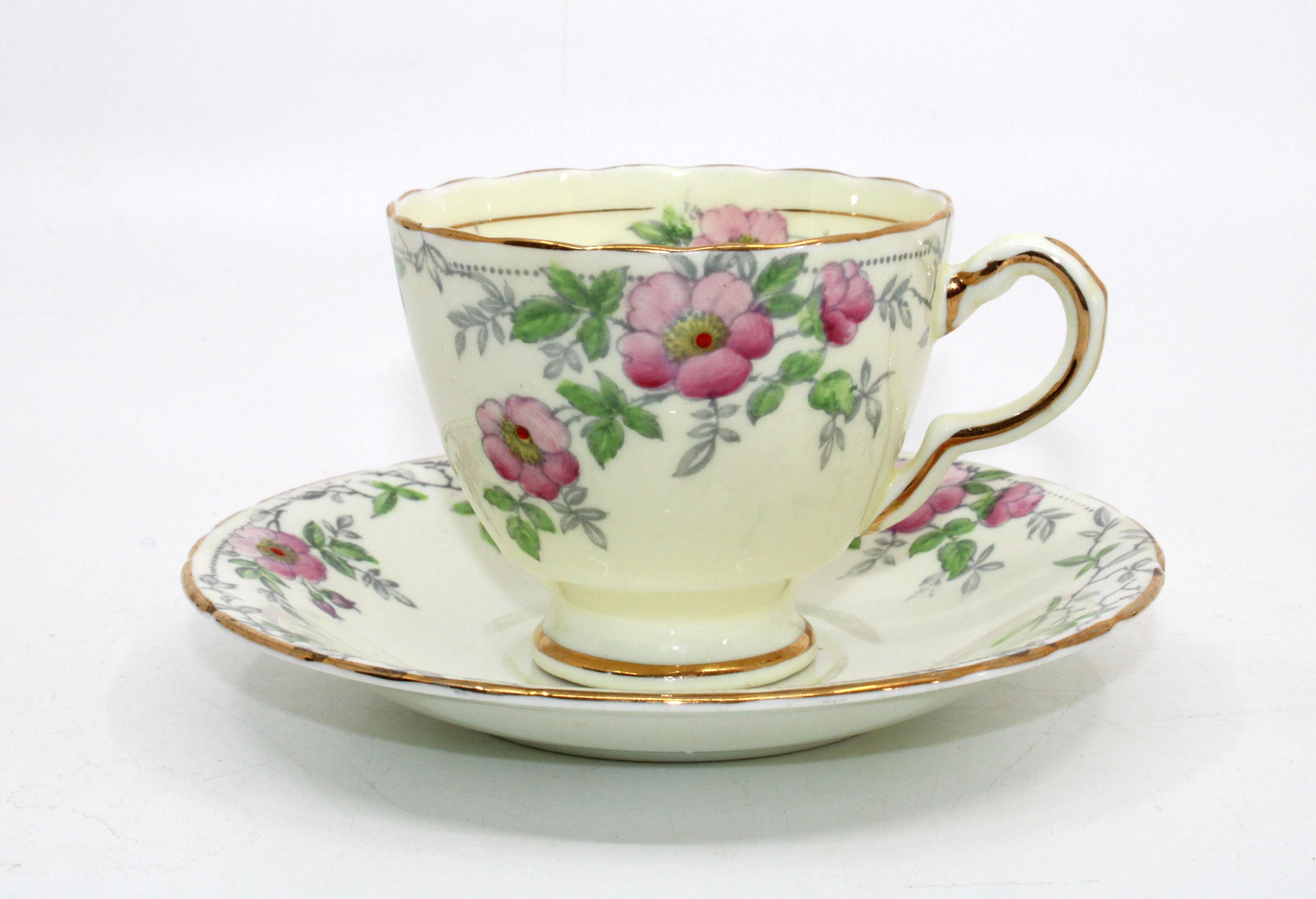 Vintage Delphine Bone China Tea Cup and Saucer, Pink Wild Roses - Etsy