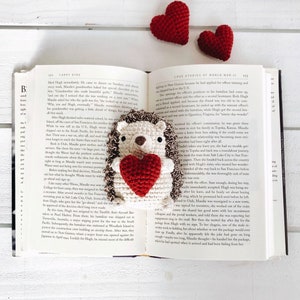 Crochet Hedgehog Pattern, Crochet Valentine's Day Pattern, Amigurumi Hedgehog Pattern, Amigurumi Valentine Pattern, Crochet Toy Pattern image 5