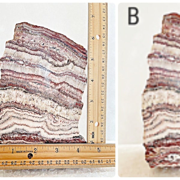 Lapidary Rock Mineral Specimen