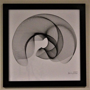 FRAMED Curvilinear Date Drawing
