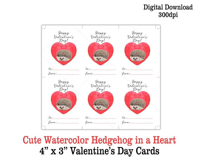 Hedgehog Printable Valentine's Day Cards Cute Hedgehog in a Heart Valentines for Boys Girls Digital Download Valentine Kids image 2