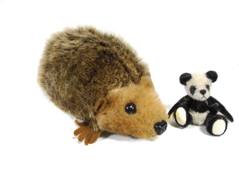 hedgehog with teddy bear