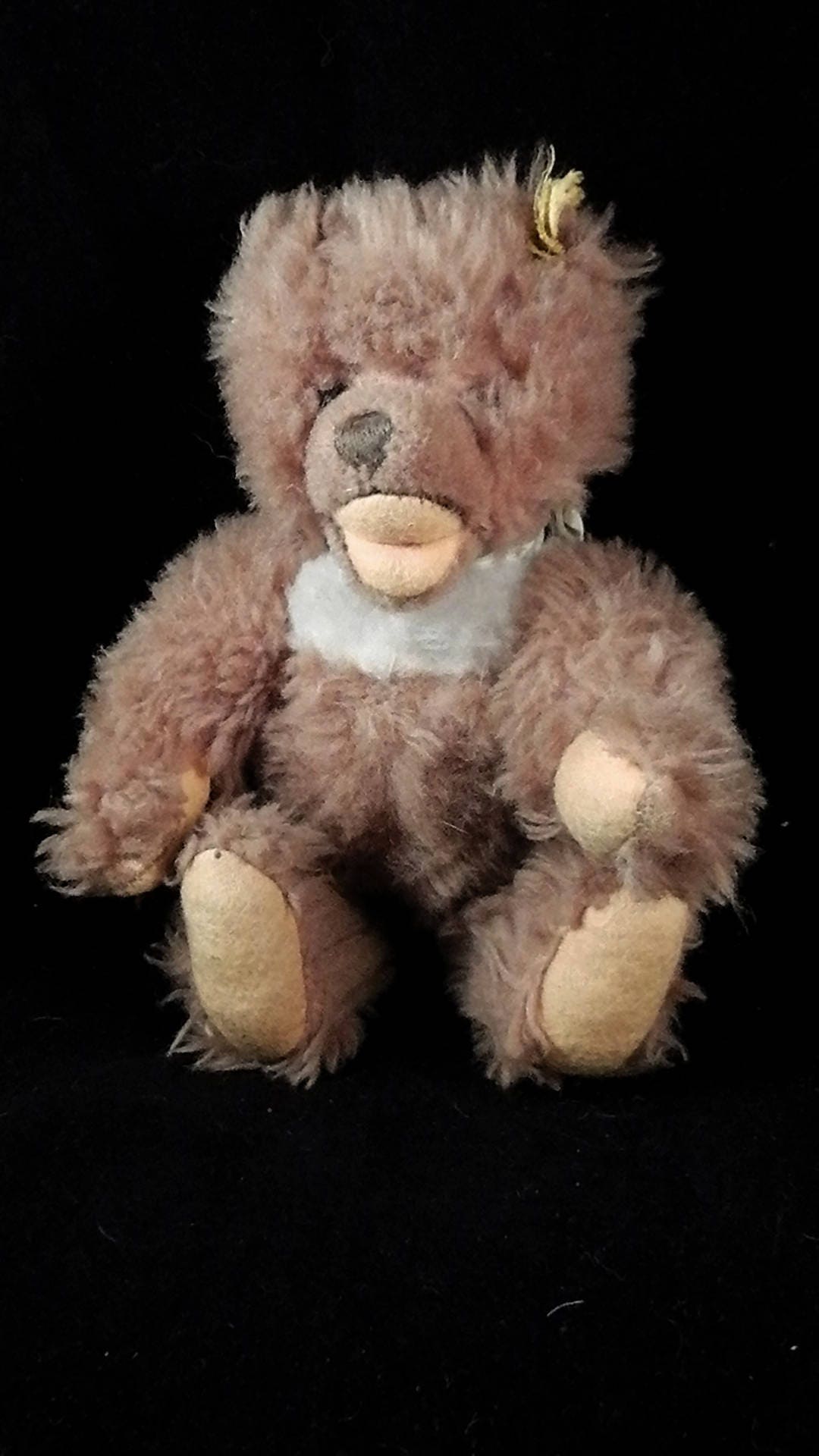 german teddy