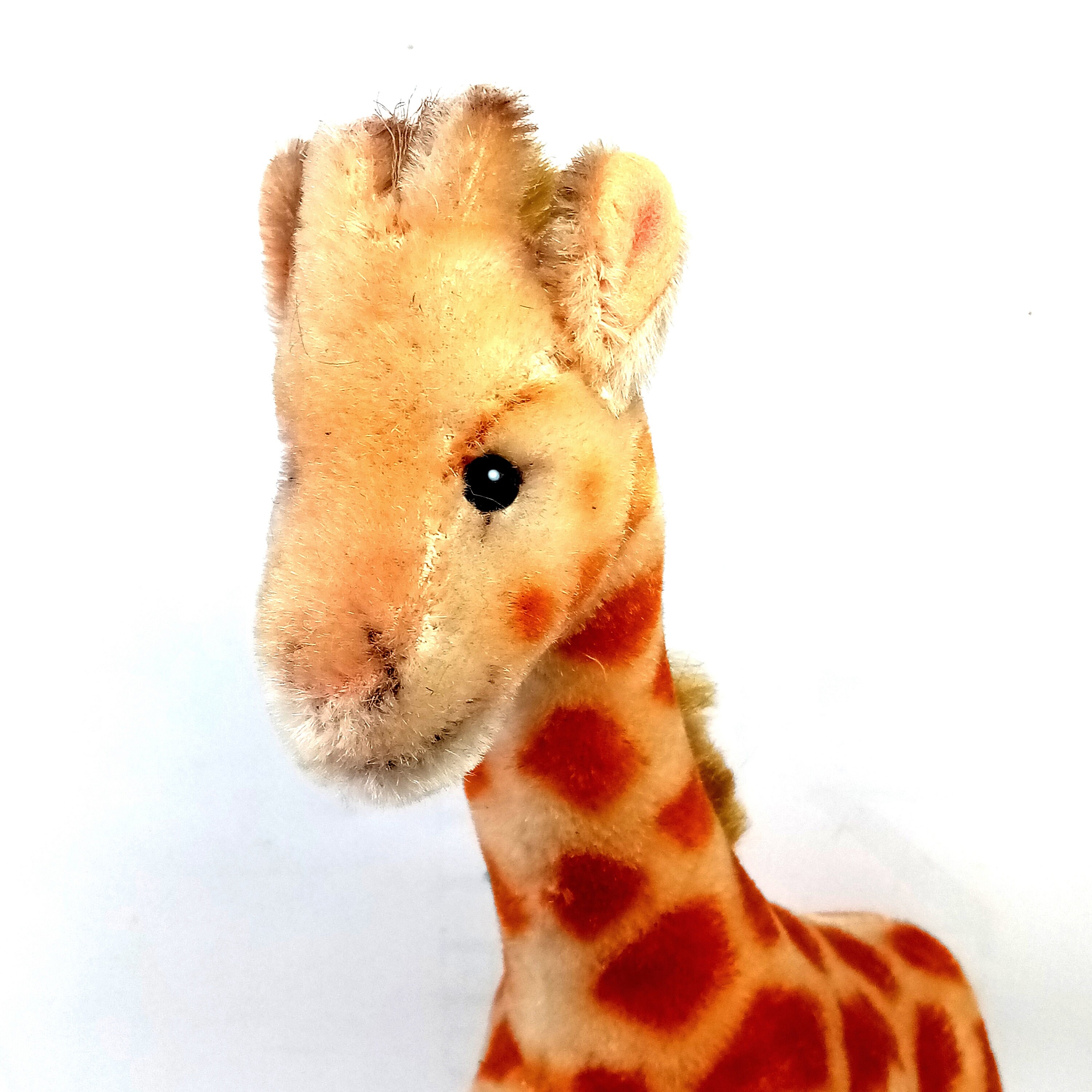 vintage steiff giraffe