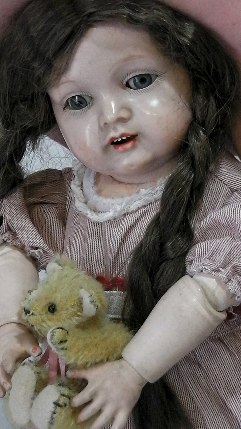 kammer and reinhardt