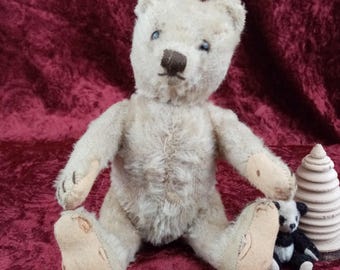 Pode incluir: Um urso de peluche vintage branco com olhos de vidro azuis e um nariz marrom costurado. O urso está sentado em uma superfície de veludo vermelho com um pequeno urso de peluche preto e branco e um brinquedo de madeira no fundo.