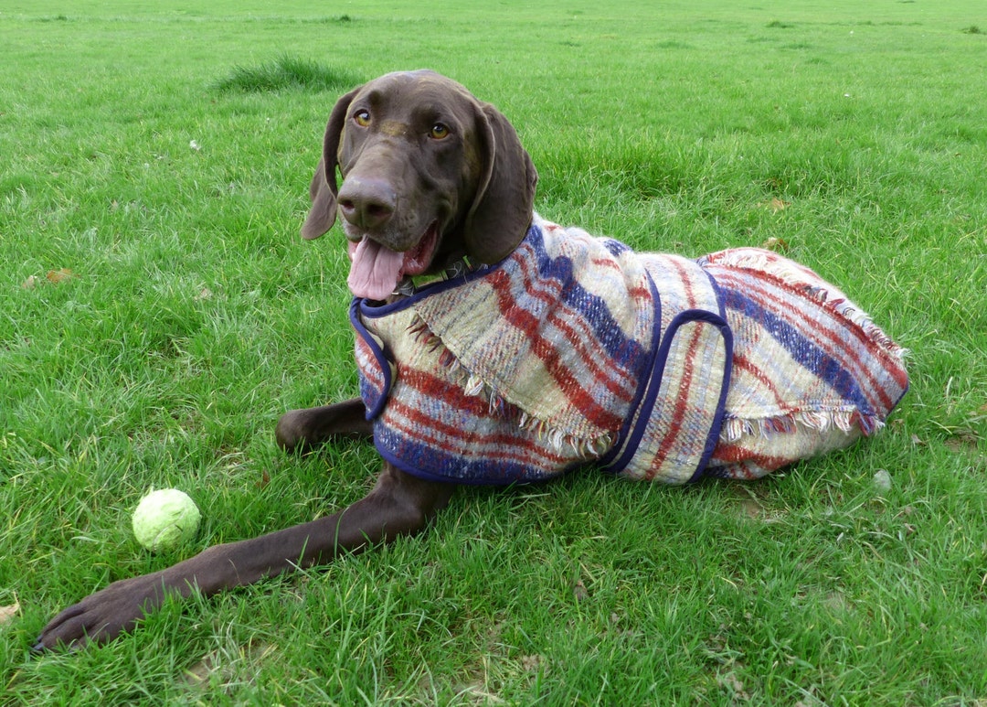 Large Size Dog Winter Coat Made From 80% Wool Recycled Blanket, Custom ...