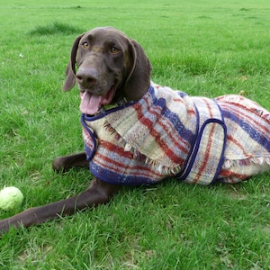 large size dog winter coat made from 80% wool recycled blanket, custom made, polar fleece lined for added warmth.