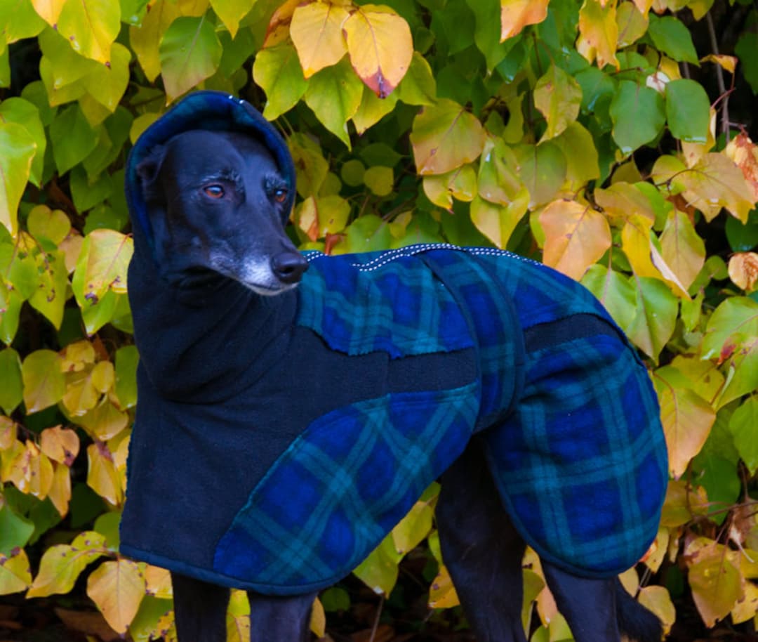Whippet Fleece Coat, Greyhound Fleece, Fleece Dog Coat, Reversible Dog