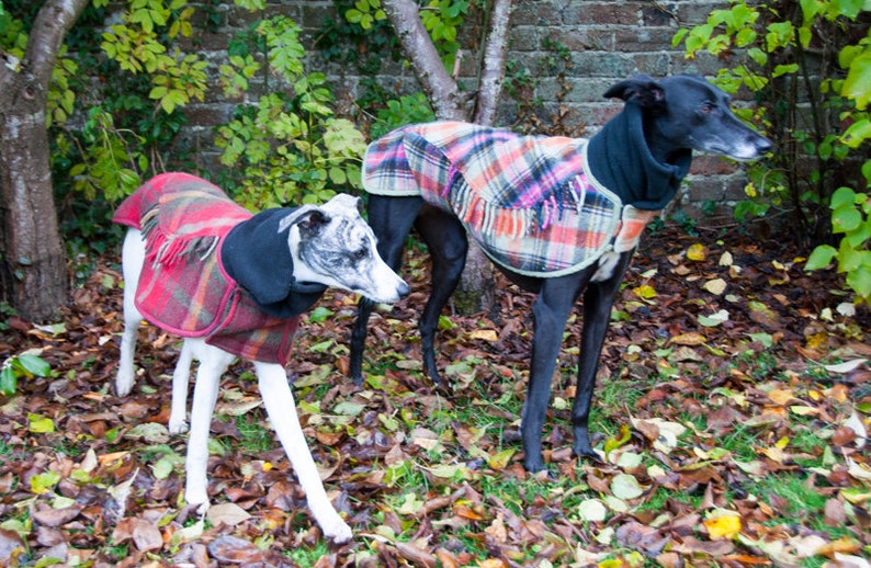 Dog Winter Coat Whippet Coat Wool Blanket Coatdog Coat Etsy Australia