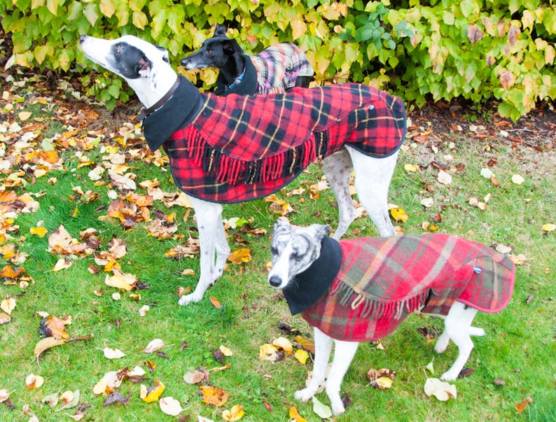 Greyhound Winter Coat, Dog Coat, Greyhound Coat,Wool Blanket Coat, Scottish Tartan, Custom Made, Polar Fleece Lined, Large Lurcher/Greyhound image 2