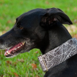 Spiders Web Dog Collar, Martingale Dog Collar,Greyhound Collar, Whippet Collar, Swarovski Crystal Elements, Halloween Dog Collar, Uk made