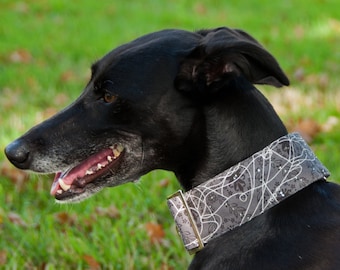 Puede incluir: Un perro negro con un collar de patrón gris y blanco. El perro está mirando hacia la izquierda y tiene la boca abierta, mostrando sus dientes.