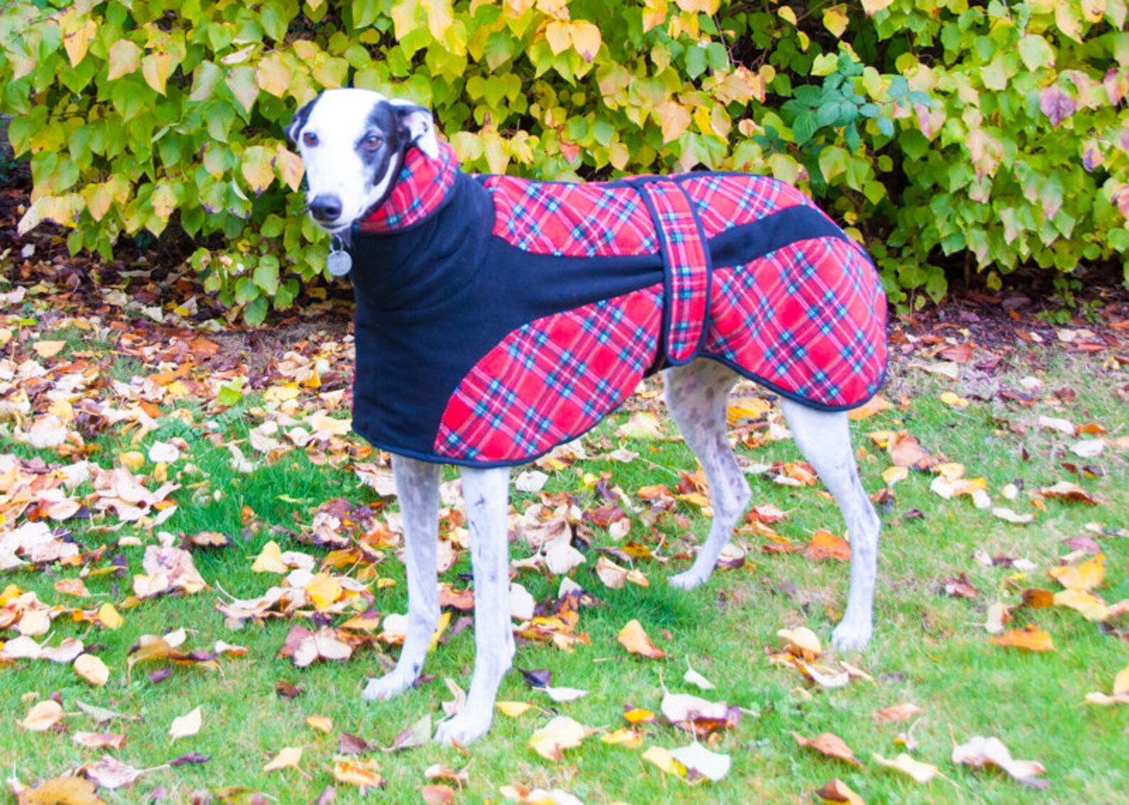 Whippet Fleece Coat Greyhound Fleece Fleece Dog Coat Etsy UK