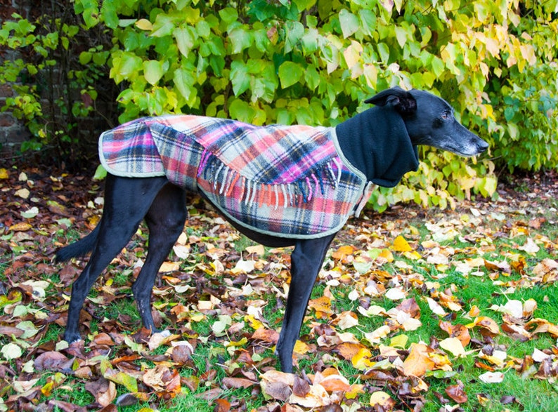 Greyhound Winter Coat, Dog Coat, Greyhound Coat,Wool Blanket Coat, Scottish Tartan, Custom Made, Polar Fleece Lined, Large Lurcher/Greyhound image 3