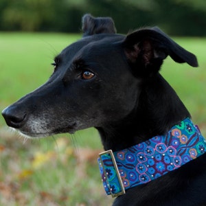 May include: A black dog with a colorful collar. The collar features a blue background with a floral pattern in shades of pink, purple, and green. The dog is in profile, with a green background.