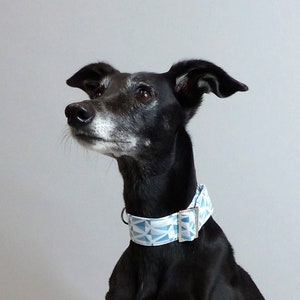 Beautiful geometric print martingale collar for whippets, greyhounds, etc. Handmade in the UK with optional Swarovski Crystals