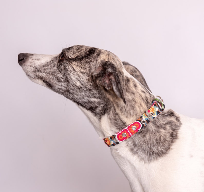 Thin Dog Collar Pretty Dog Collar Flower Power Swarovski Etsy
