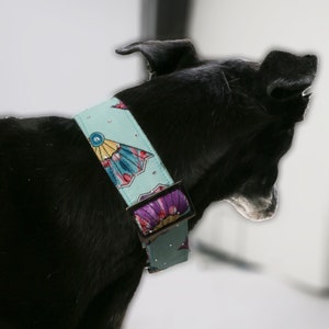 Patterned dog collar, fan print, pretty dog collar, martingale collar for whippet, greyhound, lurcher, made to order in Uk,optional crystals