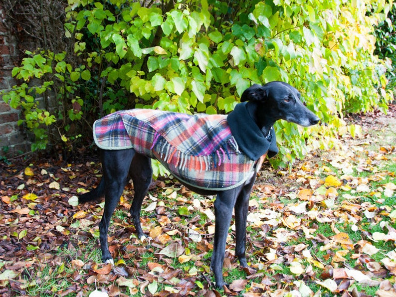 Dog Winter Coat Whippet Coat Wool Blanket Coatdog Coat Etsy Australia