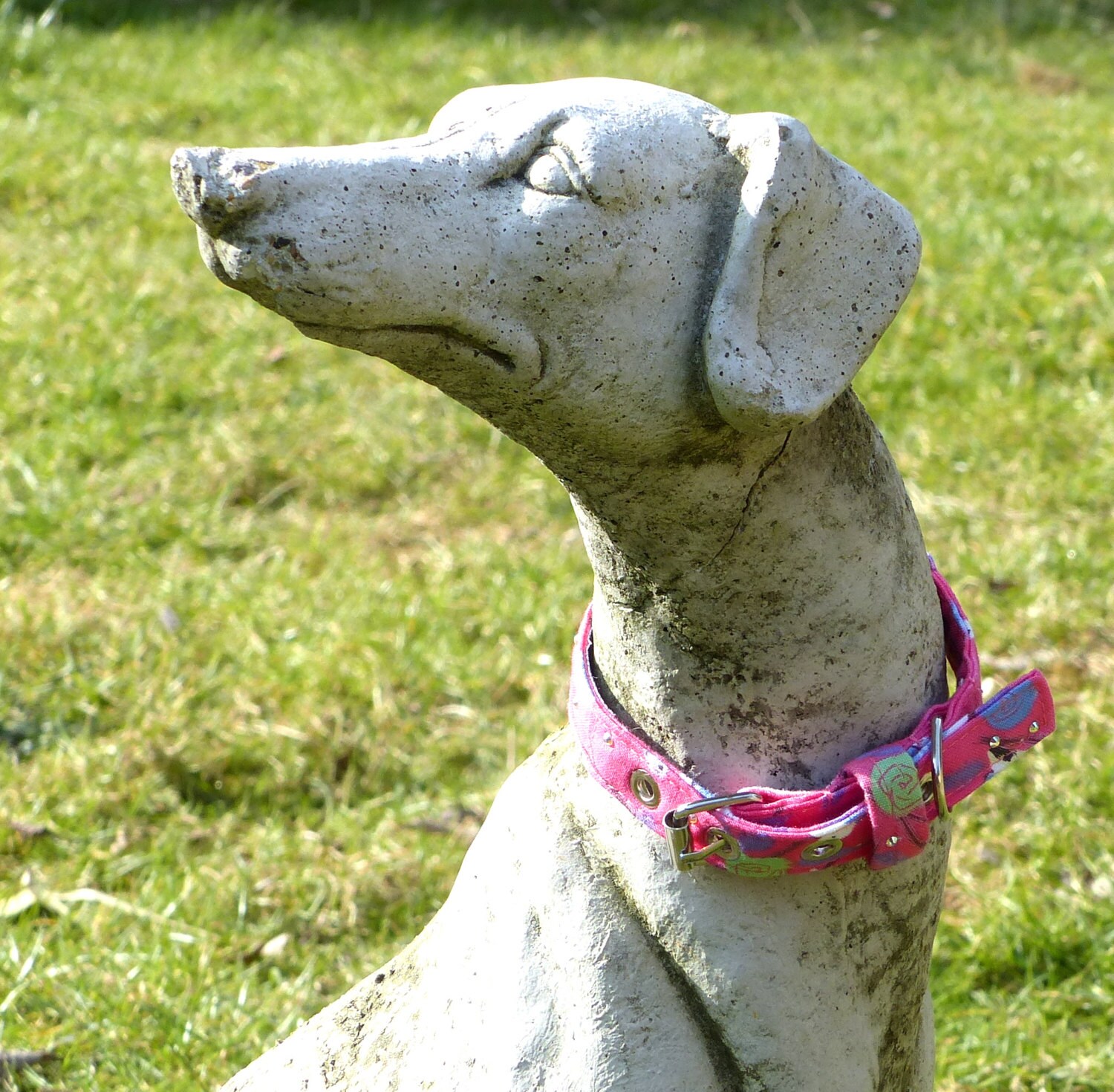 Small Dog CollarPretty Dog Collar Bird Print Gift For Dog Etsy